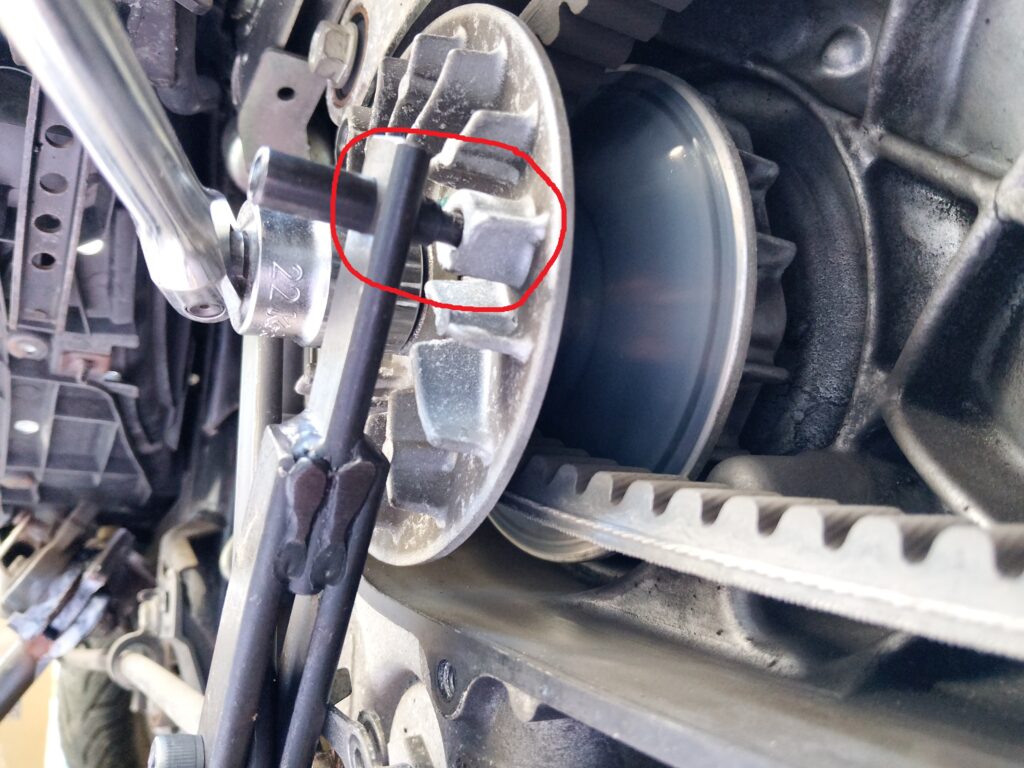 横から見たプーリーフェイス